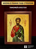 Икона Тимофей апостол, деревянная рамка со стеклом 15х18х2 см 138 Икона Тимофей апостол, деревянная рамка со стеклом 15х18х2 см 138