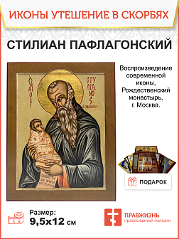 Икона Преподобный Стилиан