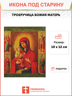 Икона Божьей Матери Троеручица