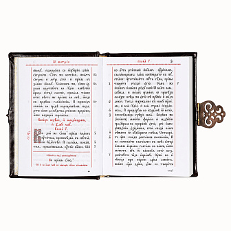 Евангелие 170х120 кожаный оклад г / пл патинирование