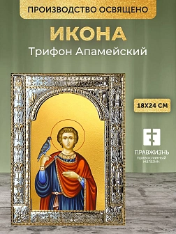 Икона Трифон Апамейский в ризе, 18x24 см