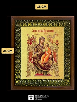 Икона Божией Матери Всецарица с золочением, деревянная рамка с басмой и стеклом 18х21х2,5 см 054