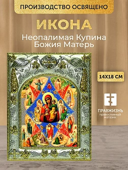 Икона Неопалимая Купина Божия Матерь в ризе, 18х14 см