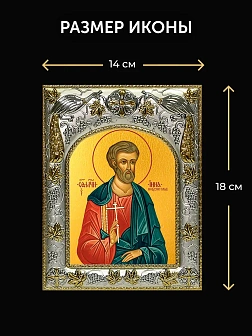 Икона Инна Новодунский в ризе и деревянном киоте, 26х22 см
