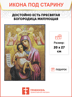 Икона Пресвятой Богородицы ДОСТОЙНО ЕСТЬ (Милующая) (ПОД СТАРИНУ)