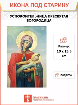 Икона Успокоительницы