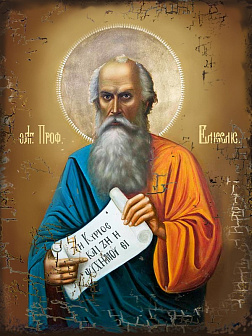 Икона Пророк Елисей Икона Пророк Елисей