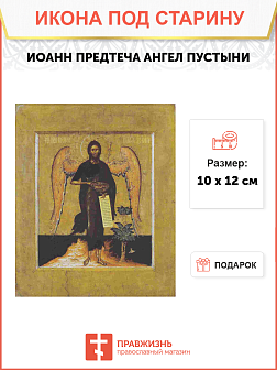 Икона Иоанн Предтеча Ангел Пустыни