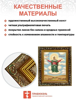 Икона Божией Матери Спорительница хлебов, узкая рамка 17,5х20,5х2 см 151