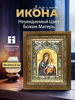 Икона Неувядаемый Цвет Божия Матерь в ризе и деревянном киоте, 26х22 см