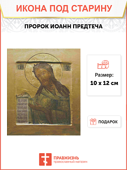 Икона Иоанн Предтеча из Деисуса