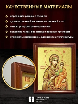 Икона Божией Матери Смоленская с золочением, деревянная рамка со стеклом 15х18х2 см 133 Икона Божией Матери Смоленская с золочением, деревянная рамка со стеклом 15х18х2 см 133