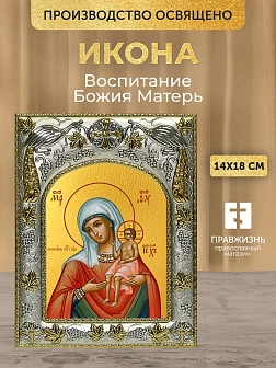 Икона Воспитание Божия Матерь в ризе, 18х14 см