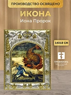 Икона Иона Пророк в ризе, 18х14 см