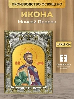 Икона Моисей Пророк в ризе, 18х14 см