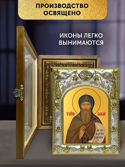 Икона Виталий Александрийский в ризе и деревянном киоте, 26х22 см