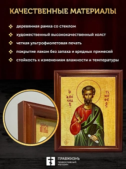 Икона Тимофей апостол, деревянная рамка со стеклом 15х18х2 см 138 Икона Тимофей апостол, деревянная рамка со стеклом 15х18х2 см 138