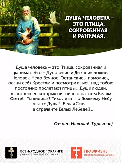 Царская Икона 008 Царь Давид 21х24,5 159 Царская Икона 008 Царь Давид 21х24,5 159