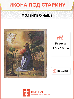 Икона Пресвятой Богородицы Моление О Чаше