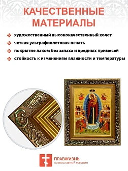 Икона Божией Матери Всех Скорбящих Радость, узкая рамка 17,5х20,5х2 см 153