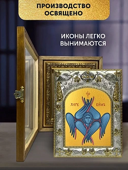 Икона Херувим Шестикрылый в ризе и деревянном киоте, 26х22 см