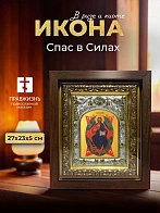 Икона Спас в Силах в ризе и киоте под дерево, 27х23 см