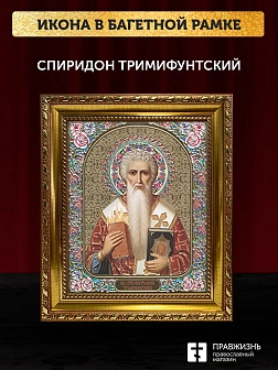 Икона Спиридон Тримифунтский, золотая багетная рамка узкая с узором 15х18х2 см