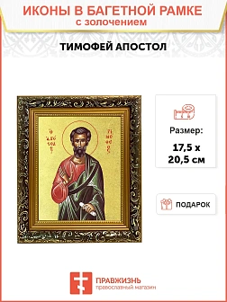 Икона "Тимофей", св. апостол, с золочением поталью, 09103-УЛ Икона "Тимофей", св. апостол, с золочением поталью, 09103-УЛ