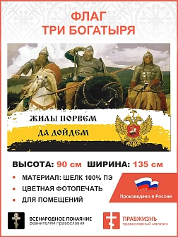 Флаг 239 Три Богатыря Жилы порвем да дойдем триколор 90х135 материал шелк для помещений