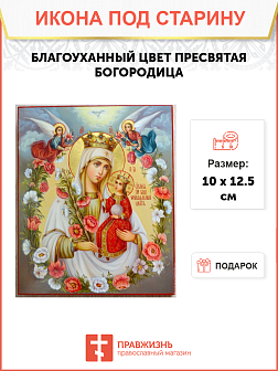 Икона Благоуханного цвета Икона Благоуханного цвета