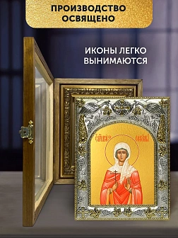 Икона Анисия Солунская в ризе и деревянном киоте, 26х22 см Икона Анисия Солунская в ризе и деревянном киоте, 26х22 см
