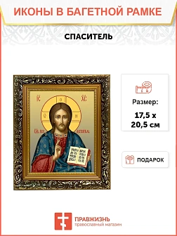 Икона Спаситель Господь Иисус Христос, узкая рамка 17,5х20,5х2 см 214
