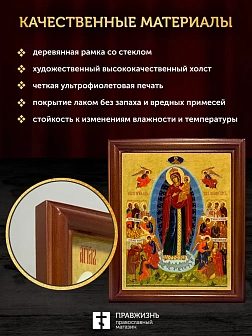Икона Божией Матери Всех Скорбящих Радость, деревянная рамка со стеклом 15х18х2 см 153