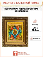 Икона Божией Матери Неопалимая Купина, широкая рамка 19,5х22,5х2 см 181