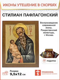 Именная икона Стилиан Пафлагонский Чадозаступник 19х24 см