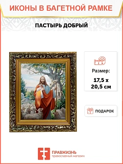 Икона Пастырь добрый Господь Иисус Христос, узкая рамка 17,5х20,5х2 см