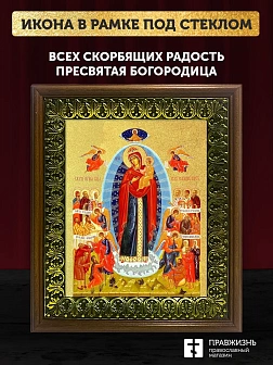Икона Божией Матери Всех скорбящих Радость с золочением, деревянная рамка с басмой и стеклом 18х21х2