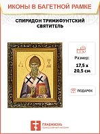 Икона Спиридон Тримифунтский святитель, узкая рамка 17,5х20,5х2 см 135