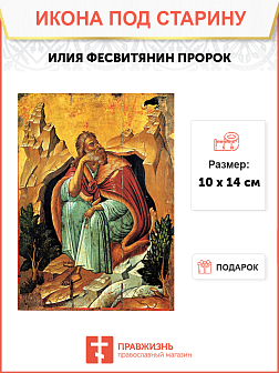 Икона Ильи Пророка Икона Ильи Пророка