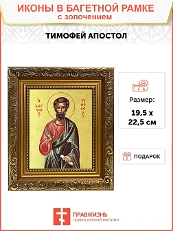 Икона "Тимофей", св. апостол, с золочением поталью, 09103-УЛ