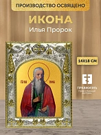 Икона Илья Пророк в ризе, 18х14 см