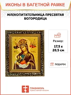 Икона Божией Матери Млекопитательница, узкая рамка 17,5х20,5х2 см 106