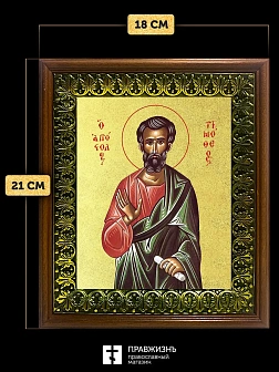 Икона Тимофей апостол с золочением, деревянная рамка с басмой и стеклом 18х21х2,5 см 138 Икона Тимофей апостол с золочением, деревянная рамка с басмой и стеклом 18х21х2,5 см 138