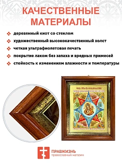 Икона Божией Матери "Неопалимая Купина" с золочением поталью, 03045-УЛ
