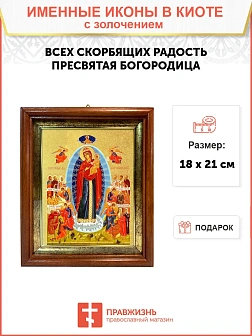 Икона Всех скорбящих Радость Божия Матерь Икона Всех скорбящих Радость Божия Матерь