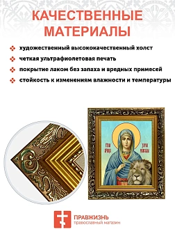 Икона Дария Римская мученица, узкая рамка 17,5х20,5х2 см 063