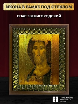 Икона Спас Звенигородский с золочением, деревянная рамка с басмой и стеклом 18х21х2,5 см 214