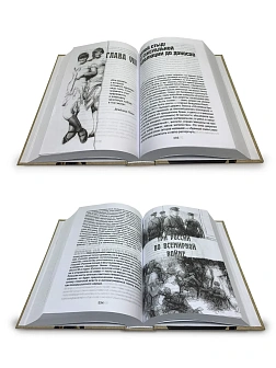 Елена Семенова. Сборник книг 3 шт. Хроника антирусского века