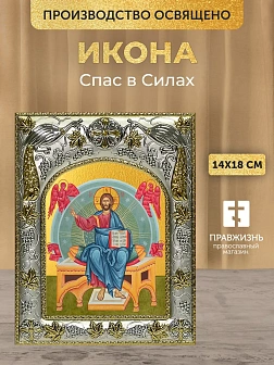 Икона Спас в Силах в ризе, 18х14 см