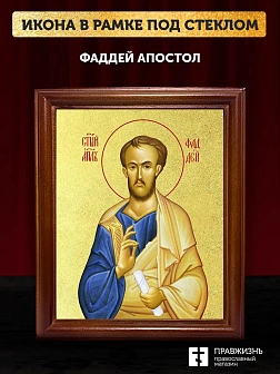 Икона Фаддей апостол с золочением, деревянная рамка со стеклом 15х18х2 см 1237 Икона Фаддей апостол с золочением, деревянная рамка со стеклом 15х18х2 см 1237